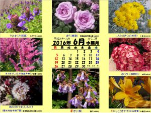 花暦　6月